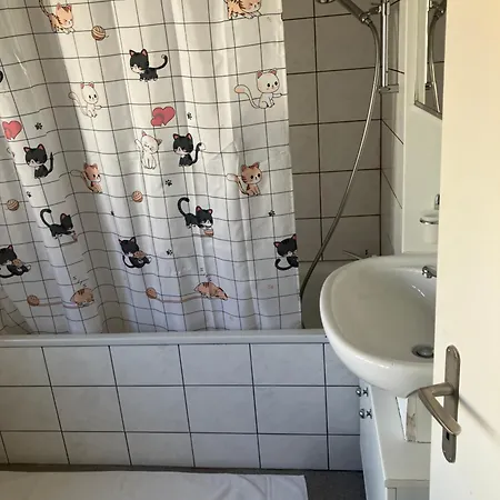 3 Bedrooms With Living With Kitchen Onebathroom In St Galen Switzerland *