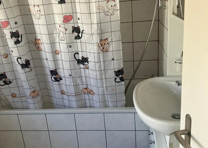 3 Bedrooms With Living With Kitchen Onebathroom In St Galen Switzerland *