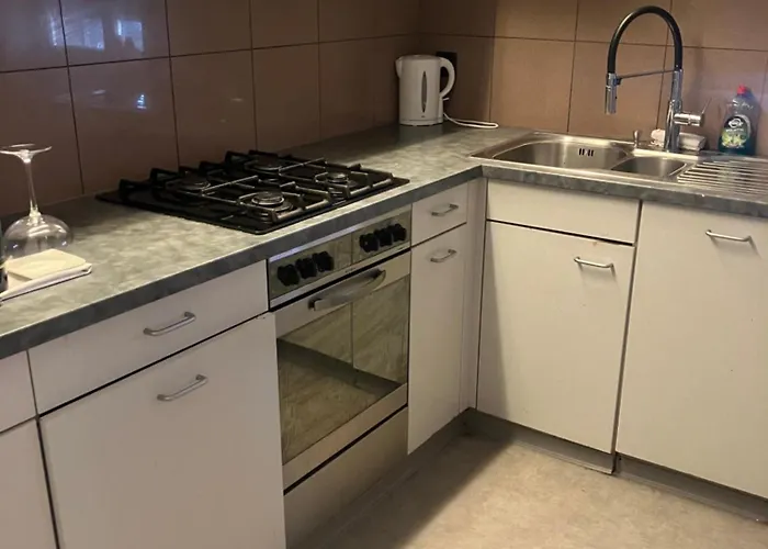 Appartement 3 Bedrooms With Living With Kitchen Onebathroom In St Galen Switzerland *