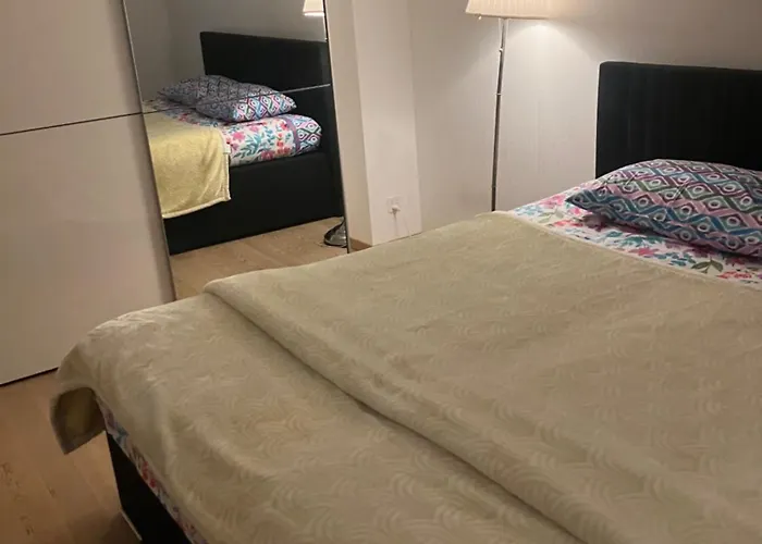 Appartement 3 Bedrooms With Living With Kitchen Onebathroom In St Galen Switzerland *