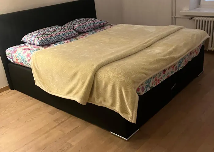 3 Bedrooms With Living With Kitchen Onebathroom In St Galen Switzerland Appartement *